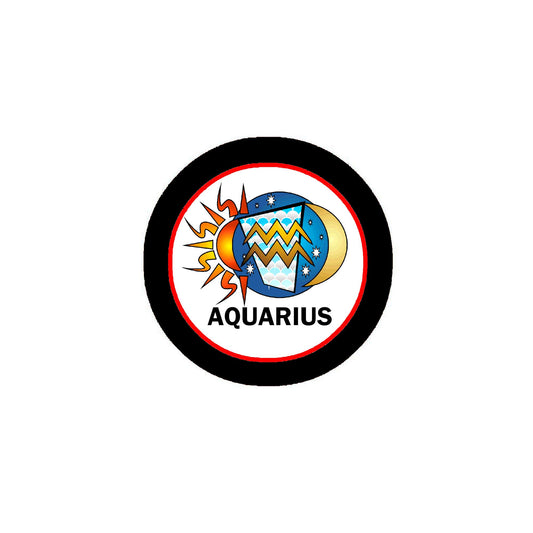 Aquarius 2.25" Pinback for Jackets, Backpacks, etc.