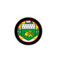 Enamel coat of arms pinback badge with black border and colorful shield design