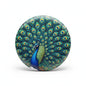 Peacock feather pinback button, round colorful artwork with blue peacock center