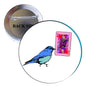 1.25-inch bird heart pinback badge with blue bird and pink heart card illustration