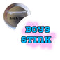 2.25-inch circular pinback button with bold "BOYS STINK" graphic
