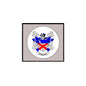 3-inch family crest coat of arms magnet with blue and red shield in a round emblem