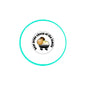 1.25-inch pinback button with sheep portrait and Bear Pride text, teal ring border