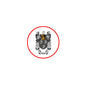 Round pinback badge with red border and dark family crest design in center