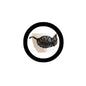 Black butterfly-shaped party glasses with dark frame and wing-style front