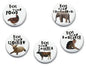 Set of 5 vegan pinback buttons with animal icons and phrases: Not your food, fur, entertainment