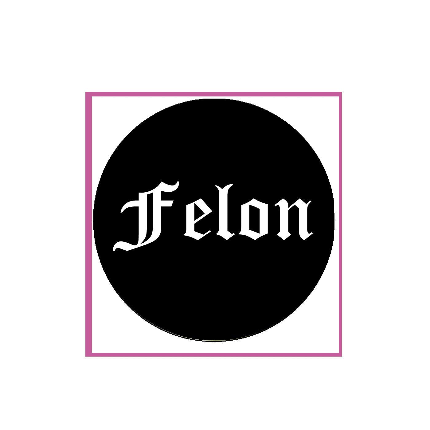 Felon Pinback Badge 2.25-inch Default Title