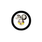 Circular pinback button with black border and collage of Einstein portrait photos