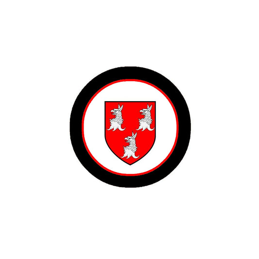 Ryan 3-inch Coat of Arms Fridge Round Magnet Default Title