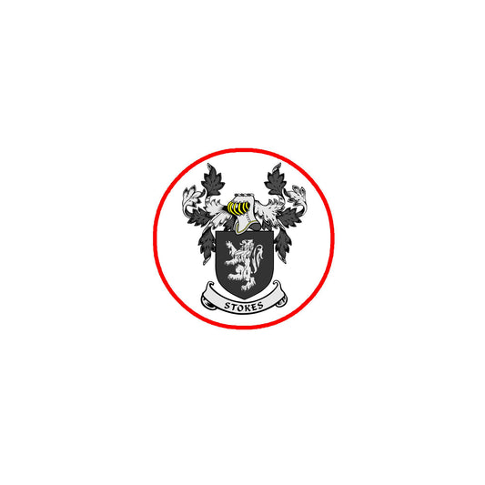Stokes Family Crest 3-inch Coat of Arms Round Pinback Badge Brooch Pin Back Default Title