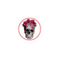 Skull and roses pinback badge with multicolor floral crown, round red border