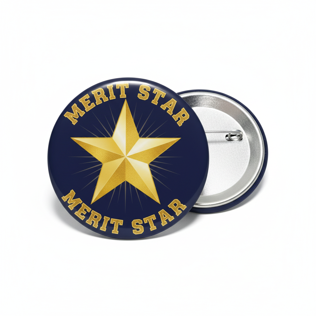 School merit star Pinback 2.25-inch