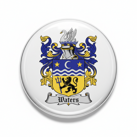 Round silver pinback badge with blue and yellow Waters coat of arms crest